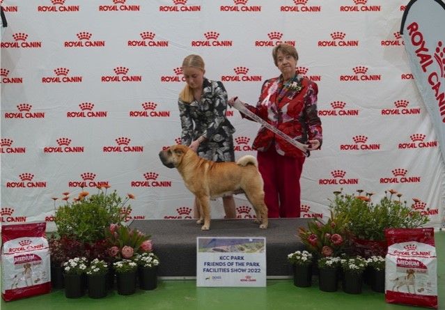 Royal canin hotsell shar pei